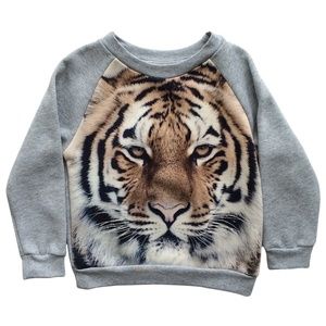 Pop Shop Little Boys Tiger Sweatshirt